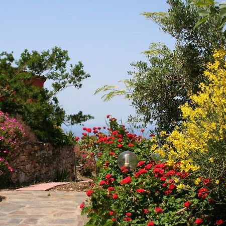 Ikarian Centre - Accommodation & Mountain Hiking Evdilos  Exterior photo