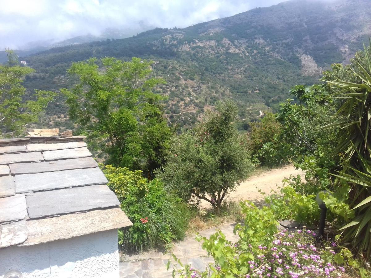 Ikarian Centre - Accommodation & Mountain Hiking Evdilos  Exterior photo