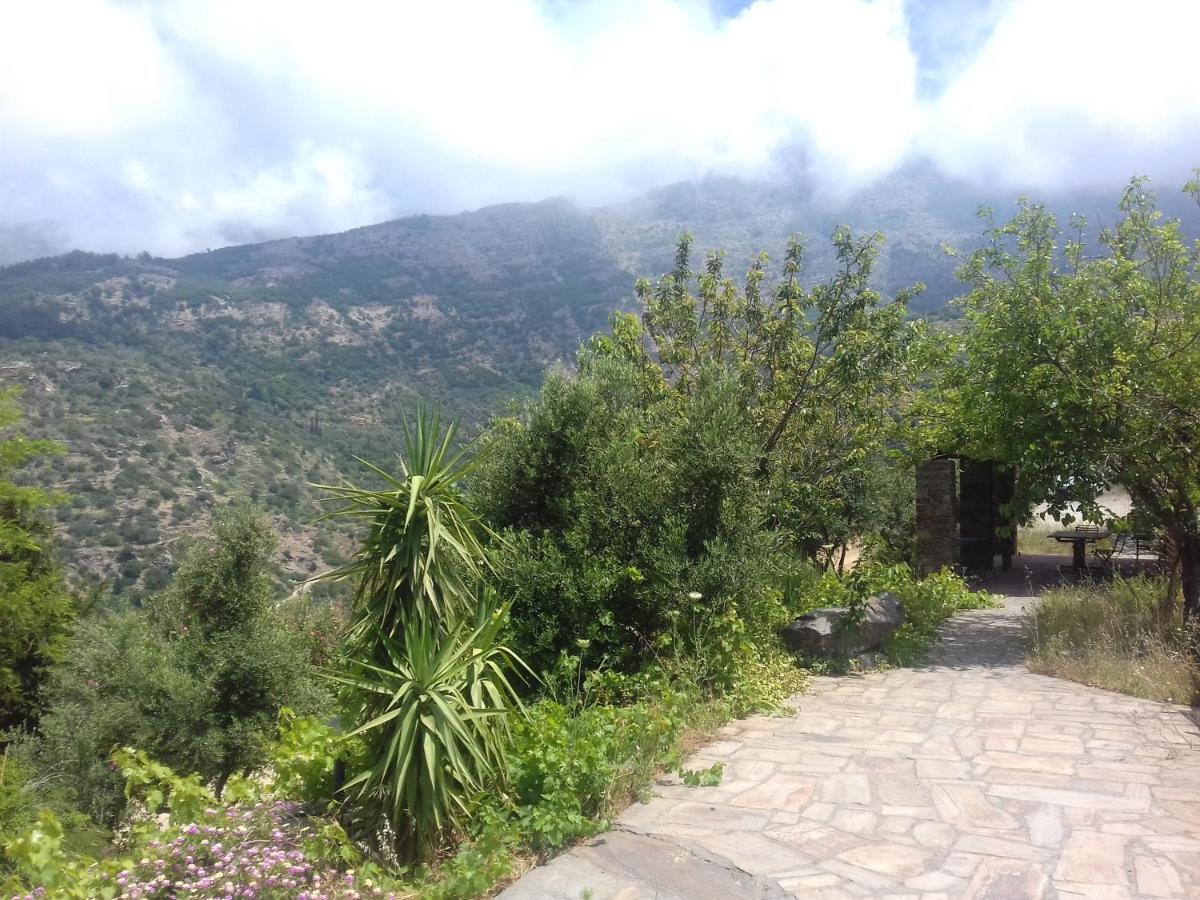 Ikarian Centre - Accommodation & Mountain Hiking Evdilos  Exterior photo