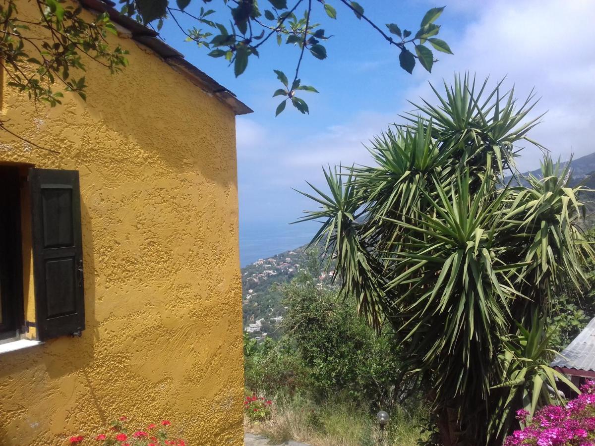 Ikarian Centre - Accommodation & Mountain Hiking Evdilos  Exterior photo